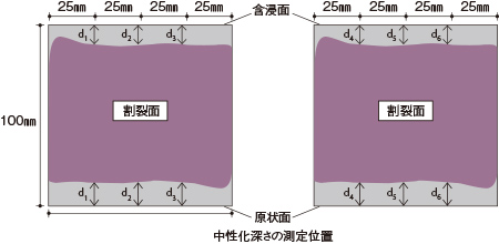 中性化対策